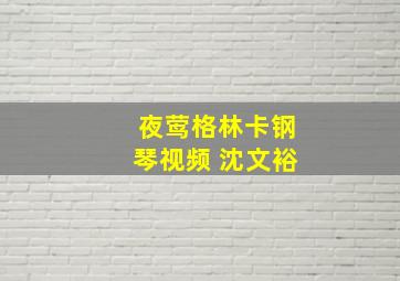 夜莺格林卡钢琴视频 沈文裕